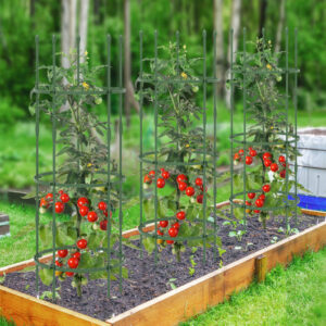 3-Pack Garden Trellis 40"/60" Tall Plant Support Stands with Clips and Ties-M