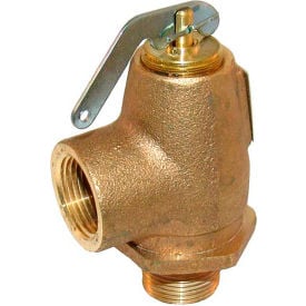 Allpoints 561315 Valve Steam Safety -3/4