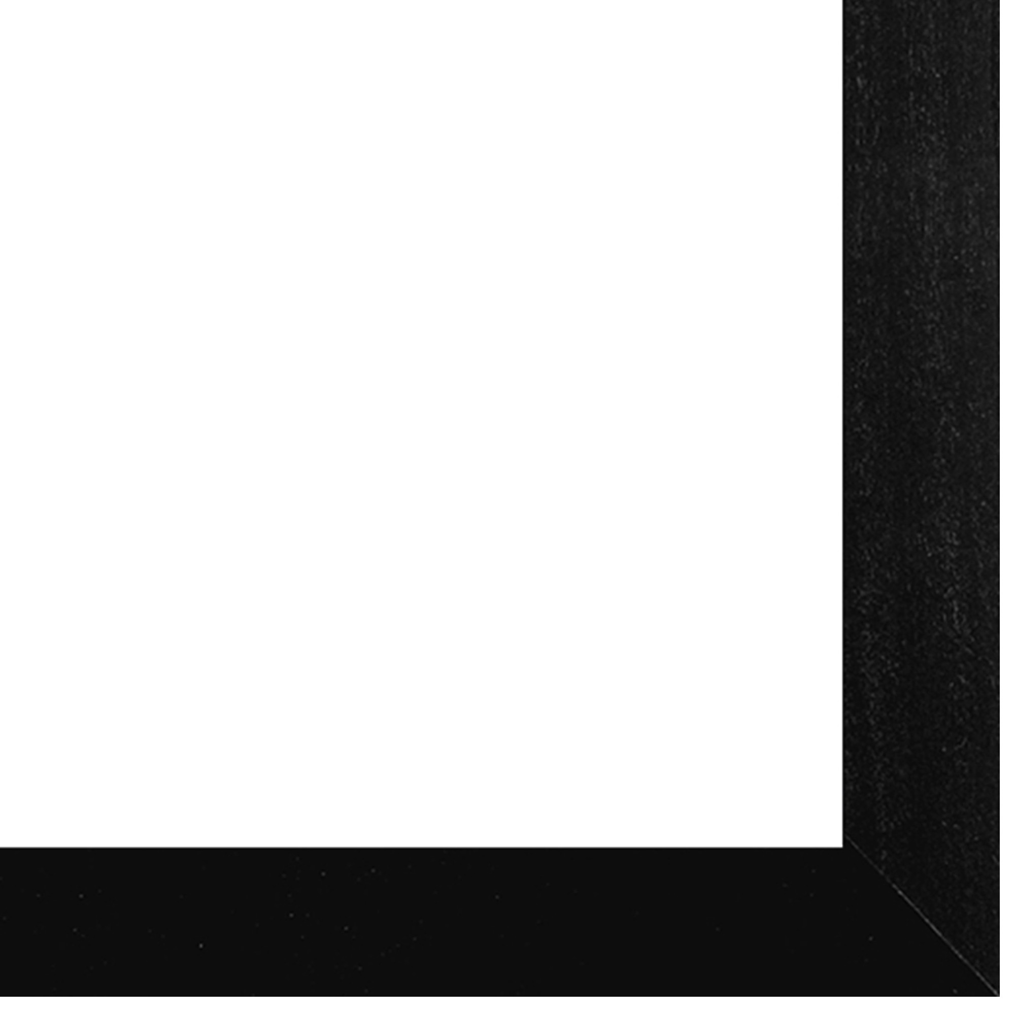 159605954.jpg