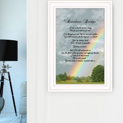 Rainbow Bridge White Framed Print Wall Art