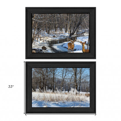Set Of Two Great Outdoors Nature Or Winter Forest 3 Black Framed Print Wall Art