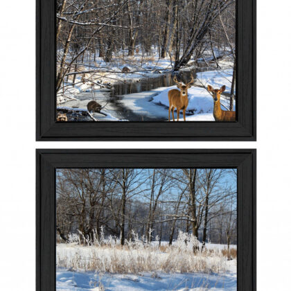 Set Of Two Great Outdoors Nature Or Winter Forest 3 Black Framed Print Wall Art