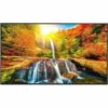 Sharp PNME552 55" Ultra High-Definition Commercial Display
