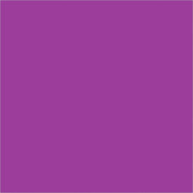 Tape Logic® Rectangular Inventory Paper Labels 4""L x 4""W Purple Roll of 500