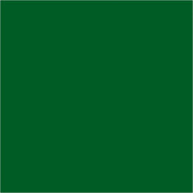 Tape Logic® Rectangular Inventory Paper Labels 4""L x 4""W Green Roll of 500