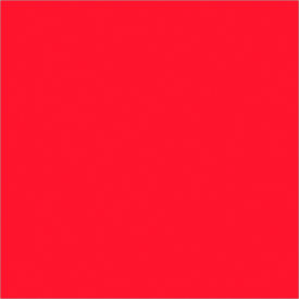 Tape Logic® Rectangular Inventory Paper Labels 4""L x 4""W Fluorescent Red Roll of 500