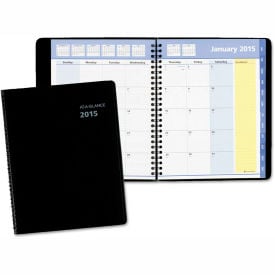 AT-A-GLANCE® QuickNotes Monthly Planner 8.75 x 7 Jan to Dec 2025