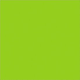 Tape Logic® Rectangular Inventory Paper Labels 4""L x 4""W Fluorescent Green Roll of 500