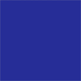 Tape Logic® Rectangular Inventory Paper Labels 4""L x 4""W Dark Blue Roll of 500