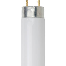 Sunlite® T8 Fluorescent Bulb G13 Base 32W 3050 Lumens 3000K Warm White Pack of 30