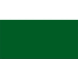 Tape Logic® Rectangular Inventory Paper Labels 4""L x 2""W Green Roll of 500