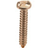 Allpoints 7161016 Screw 1-Way Sheet Mtl #10 Stainless Steel