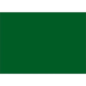 Tape Logic® Rectangular Inventory Paper Labels 7""L x 5""W Green Roll of 500