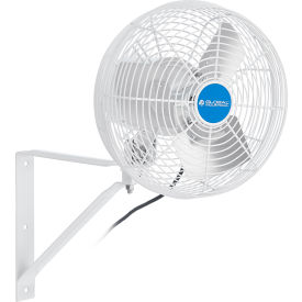 Global Industrial™ 12"" HAF Agricultural Fan 4072 CFM 120V