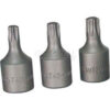 Chrome Socket 3/8"" Drive T40 Internal Torx