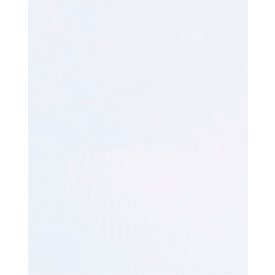 Global Industrial™ Flat Polypropylene Bags 30""L x 24""W 1.5 Mil Clear 500/Pack