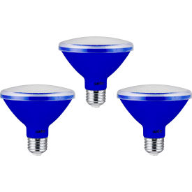 Sunlite® LED PAR30 Short Neck Colored Recessed Light Bulb E26 Base 8W Blue Pack of 3