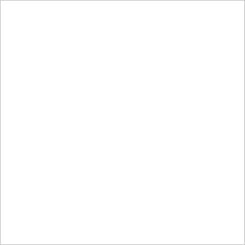 Tape Logic® Rectangular Inventory Paper Labels 4""L x 4""W White Roll of 500