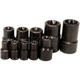 Socket 3/8"" Drive E18 External Torx