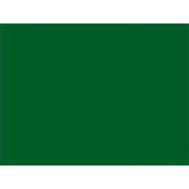 Tape Logic® Rectangular Inventory Paper Labels 4""L x 3""W Green Roll of 500