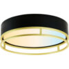 Sunlite® LED Double Round Decorative Light Fixture 20W 30/40/50K 120V 13""L Black/Gold