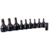 Internal Torx Socket Set 1/4"" & 3/8"" Drive T10 To T50  9 Piece