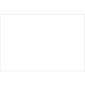 Tape Logic® Rectangular Inventory Paper Labels 3""L x 2""W White Roll of 500