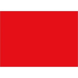 Tape Logic® Rectangular Inventory Paper Labels 7""L x 5""W Red Roll of 500