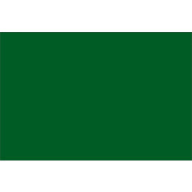 Tape Logic® Rectangular Inventory Paper Labels 3""L x 2""W Green Roll of 500