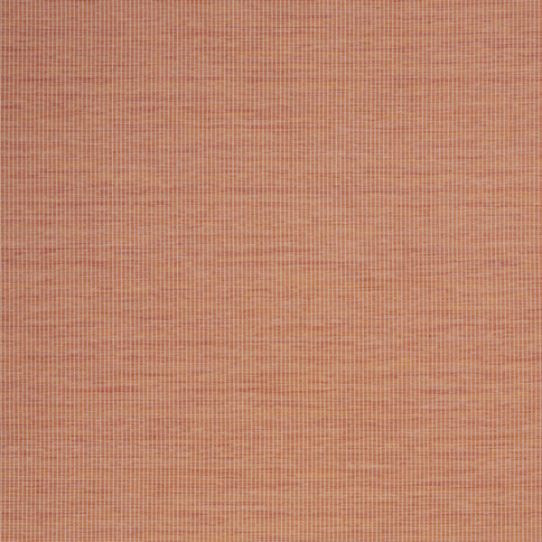 5' X 7' Terracotta Indoor Outdoor Area Rug