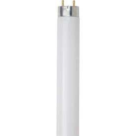 Sunlite® T8 Fluorescent Bulb G13 Base 32W 3050 Lumens 6500K Daylight Pack of 30