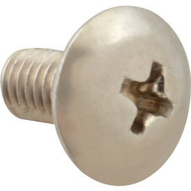 Allpoints 6221106 Screw Mach/Th/Ss (100)