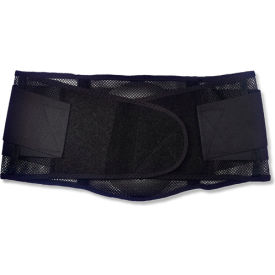 Ergodyne® ProFlex® 1051 Mesh Back Support Black Large