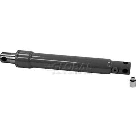 Cylinder Angle 1-1/2 X10In Replaces Meyer #07968