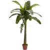 Nearly Natural 6' Banana Silk Tree