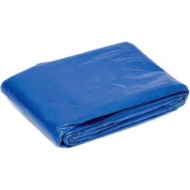Global Industrial™ 4' x 6' Light Duty 2.9 oz. Tarp Blue