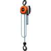 CM Hurricane 360° Hand Chain Hoist 2 Ton 20 Ft. Lift
