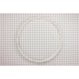 JET® Snap Ring Dc-1900C Canister Filter 331038