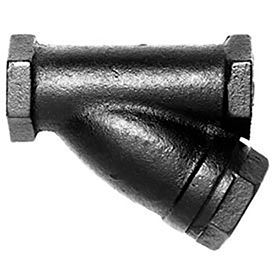 Hoffman Specialty® 420C Y-Strainer 405024 1/2"" Npt