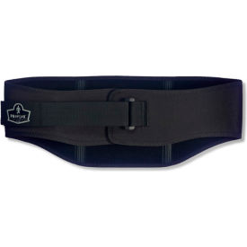 Ergodyne® ProFlex® 1500 Weight Lifters Style Back Support Black Medium