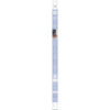 24"" T8/T12 20 W T8 Tube Cool White 6/Carton
