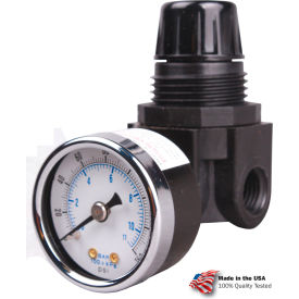 Arrow Mini Air Regulator R262g Glass Filled Nylon 1/4"" Npt 250 Psi