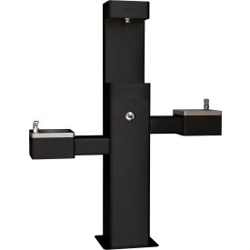 Global Industrial™Outdoor Bi-Level Drinking Fountain with Bottle Filler Black