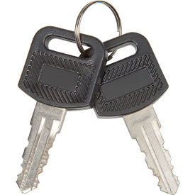 Replacement Keys for Global Industrial™ Charging Cabinets/Carts 985748 251761 987877 2/Pack