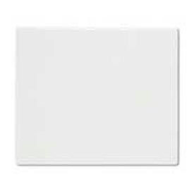 Desk Protector and Organizer 21 X 25-1/2 Clear