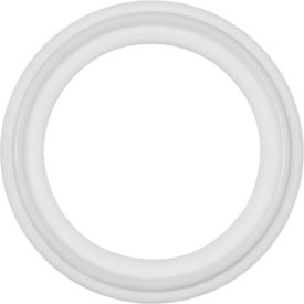 USA Sealing FDA Teflon Sanitary Gasket For 2"" Tube