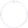 Sunlite® 05815-SU FC40T5/SP830 40W Fluorescent T5 Circline Bulb 2GX13 Warm White
