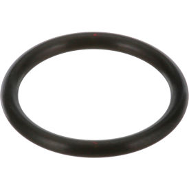 Allpoints 321155 O-Ring