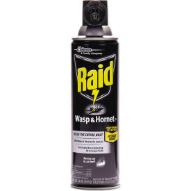 Raid® Wasp and Hornet Killer 14 oz. Aerosol Can
