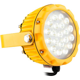 Global Industrial™ LED Dock Light Head 20W 1800 Lumens On/Off Switch 9' Cord w/ Plug